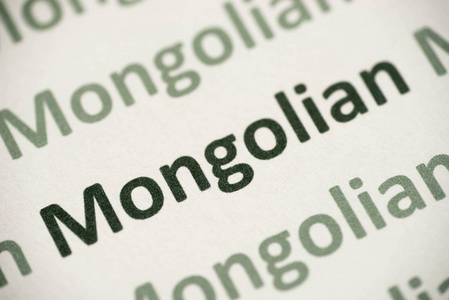 文字蒙古语打印在白皮书宏上