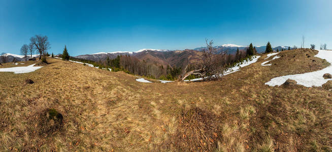 早春天喀尔巴阡山脉高原景观与积雪覆盖脊顶, 乌克兰