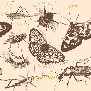 与在文塔详细昆虫图案矢量无缝壁纸