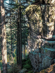 在桌子山国家公园砂岩悬崖, 波兰