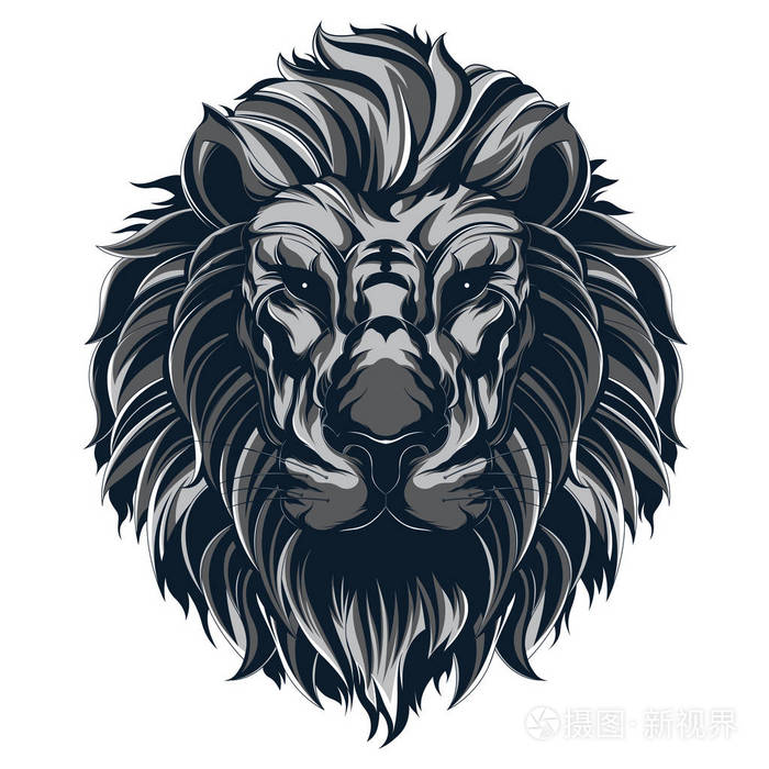 狮子头例证插画-正版商用图片08zkwo-摄图新视界