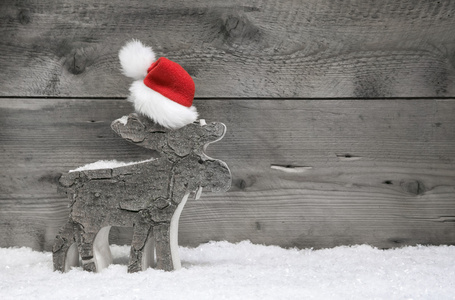 驼鹿戴着圣诞老人的帽子
