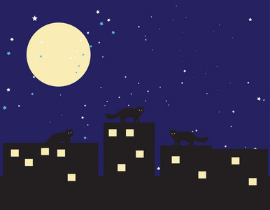 晚上猫在屋顶上行走