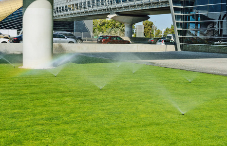 自动浇水草坪。阿联酋迪拜街道灌溉系统