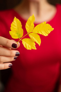 黄色的秋天叶子在女性手在红色礼服