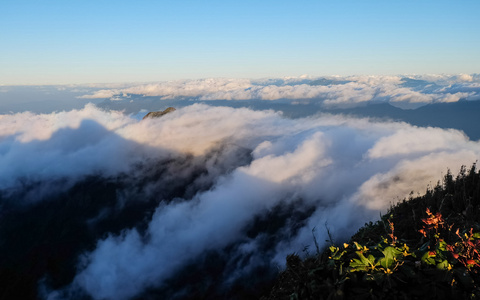 晨雾在热带山脉