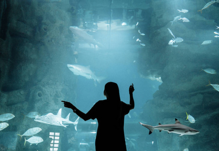 女人看着水族馆的水下世界