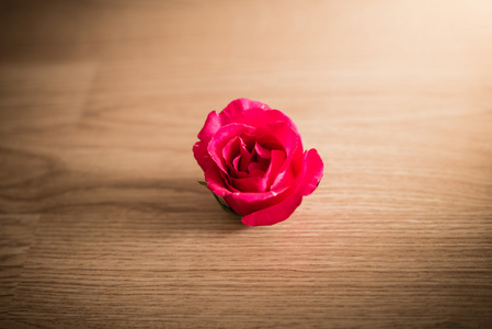 木制背景上的玫瑰