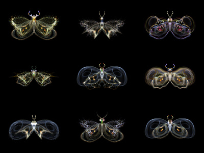 可视化的分形蝴蝶