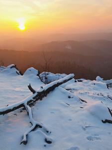 冰冷倒下的树干沾满了新鲜的粉雪，增加从雾谷的石质岩峰。在一个美丽的岩石帝国冬季雾日出