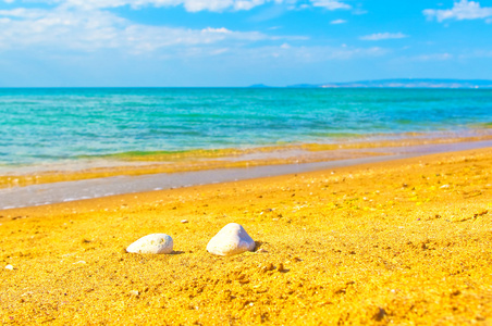 夏天的海滩的海岸