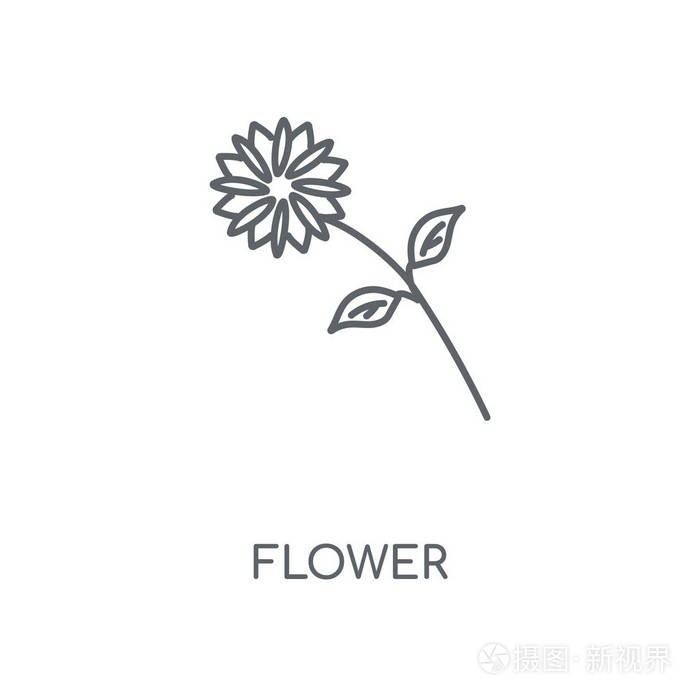 薄的图形元素向量例证 在白色背景上的轮廓样式 eps 10