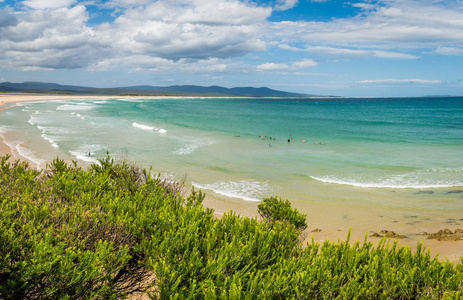 Mallacoota paradisiac 海滩的景色在夏天