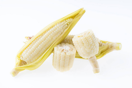 白色玉米查出的安排片断在白色背景
