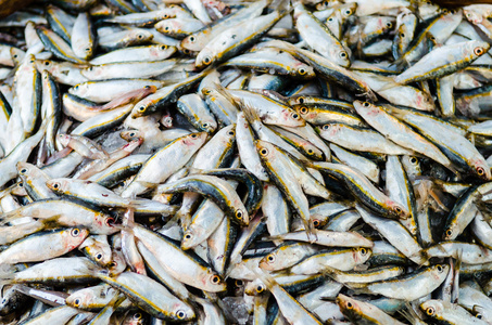 新鲜的鱼，在鱼市场在赫尔格达。埃及