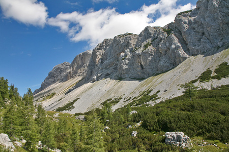 阿尔卑斯山