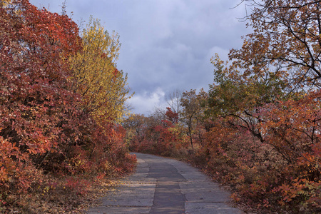 路的两侧是五颜六色的秋天植被, 两旁都是水泥板。秋天, 十月