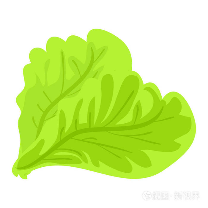 绿色生菜叶图标卡通风格