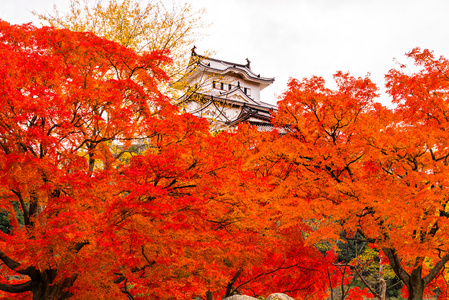 姬路城堡 日本