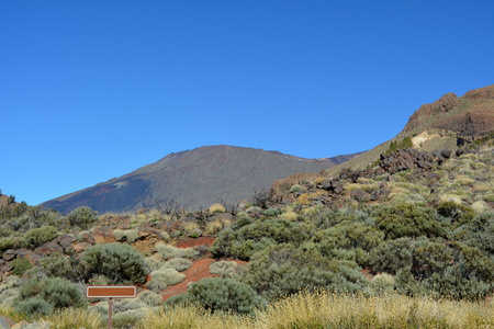 火山景观上泰德国，西班牙加那利群岛的特内里费