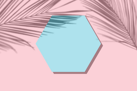 在柔和的蓝色背景, 热带夏日概念的六角粉红空卡上的棕榈叶阴影
