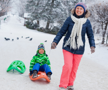 家庭玩雪橇在冬季公园