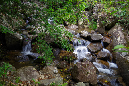 雨林里的小溪流。它构成了那些小但非常美丽的瀑布