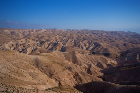 在以色列内盖夫沙漠