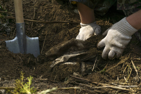 一个人的手在白色的手套从地面上删除一定挖出的材料包