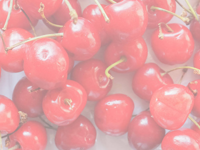 红樱桃 Prunum 水果素食, 细腻柔和褪色的色调作为背景有用