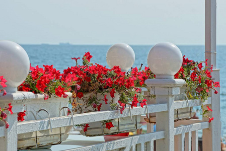 夏季白色阳台餐厅的一部分, 有一个花盆与红色的花朵灯笼和一个木栅栏, 在海天的背景下