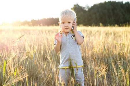 可爱的孩子在手机上说话, 站在夕阳的阳光下的黑麦领域