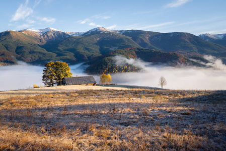 秋天风景与早晨薄雾在山里图片