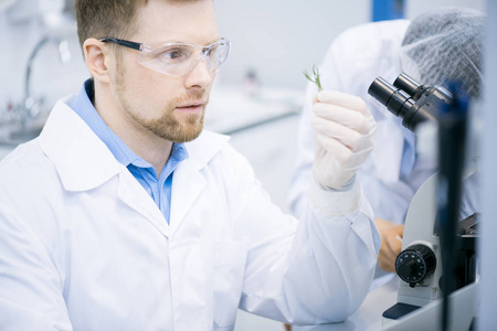 在实验室研究植物时做生物化学研究的年轻科学家肖像