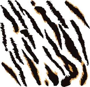 老虎的皮肤纹理图案