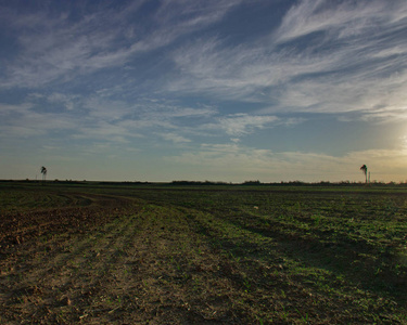 日出在一个活跃和最近被转动的土壤农场在村庄圣保罗, 巴西。玉米预种植