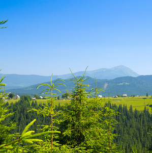 山夏天风景