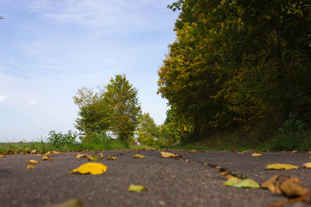 秋天9月印度夏天的叶子和树木的颜色在德国南部的乡村附近的斯图加特和慕尼黑城市的自行车道