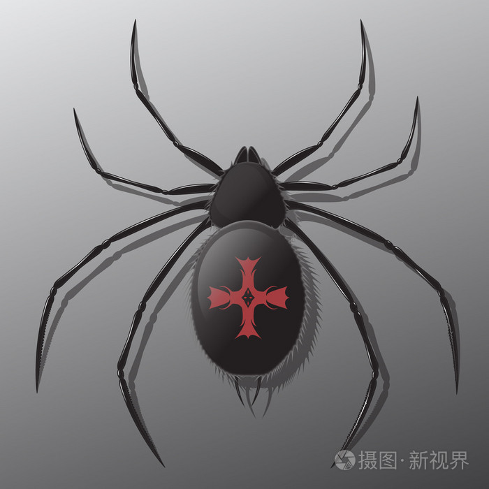 黑蜘蛛