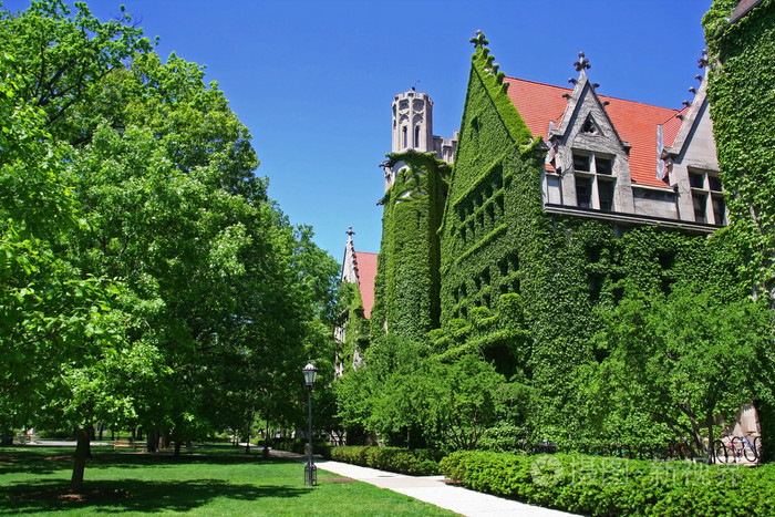 芝加哥大学校园