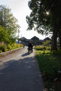 在城市公园, 一个阳光明媚的秋日晚上, 老人拿着一把汽车轮椅, 透过树闪耀着温暖的光芒