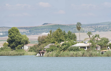 湖周围的植被位于西班牙 Bornos 镇, 田野是背景, 在一个晴朗的日子