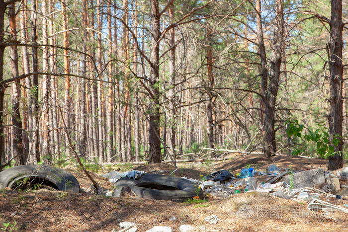 森林里的垃圾.塑料和斜坡对森林的污染