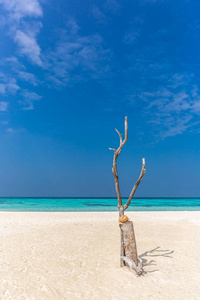 完美的孤岛四周环绕着蓝色的海水, 传统的帽子在树和蓝天中。天堂自由自由的感觉