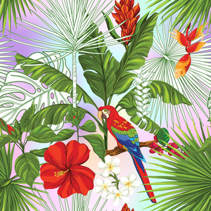 矢量无缝图案, 背景与鹦鹉和热带植物