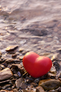 岩石和贝壳海滩上的红色心形