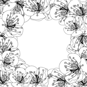 梅花花轮廓边框以白色背景隔开。矢量插图