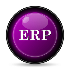 erp 图标