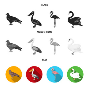 , 鹈鹕, 火烈鸟, 天鹅。鸟类集合图标黑色, 平, 单色风格矢量符号股票插画网站
