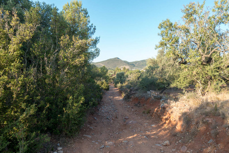 在西班牙 Castellon 的圣地亚哥和通过奥古斯塔的路